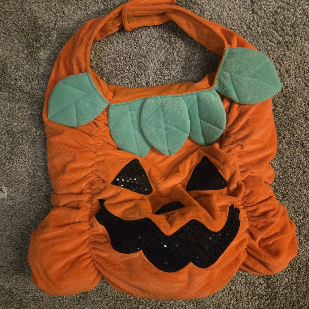 Orange Pumpkin Dog Costume